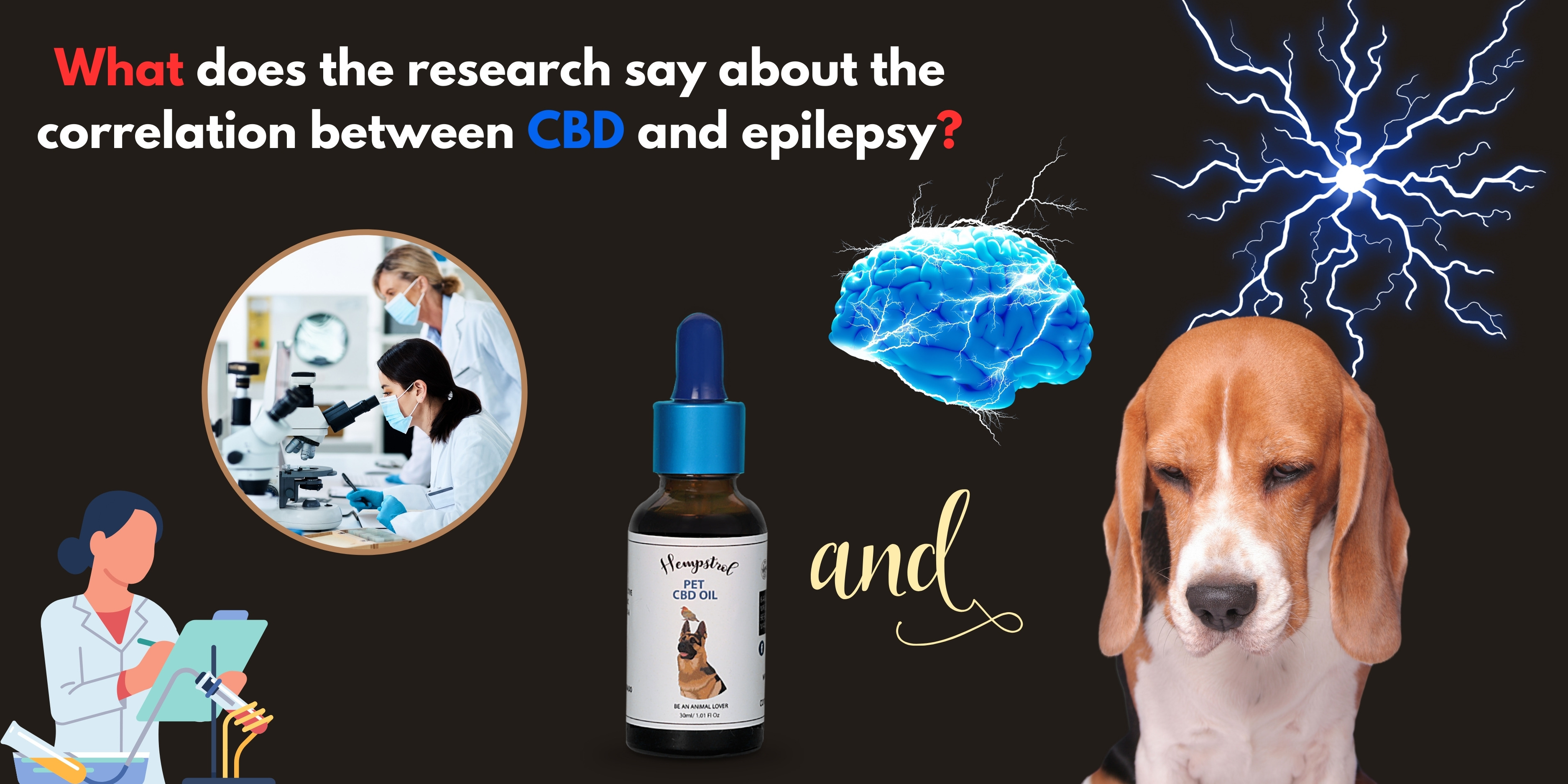cannabinoid oil for dog